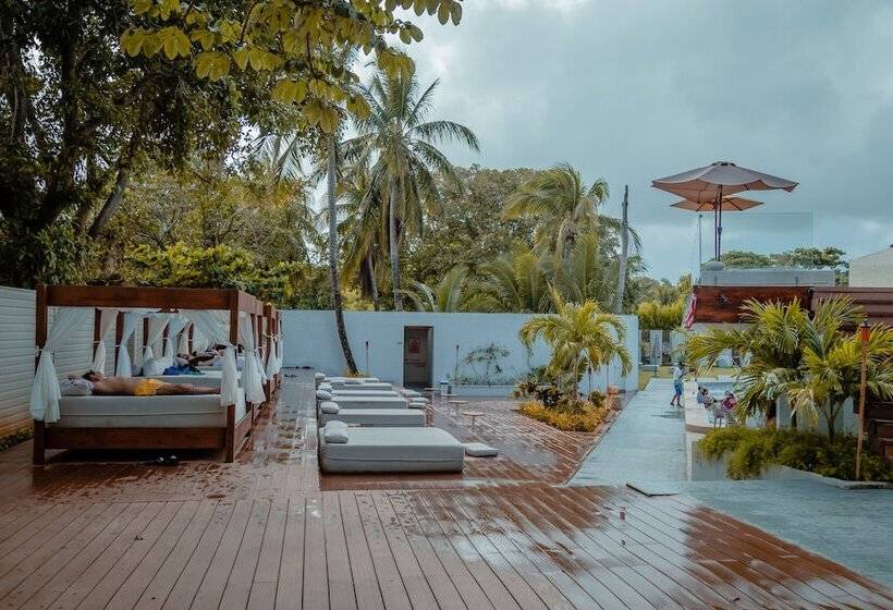 ユースホステル Dreamer Beach Club