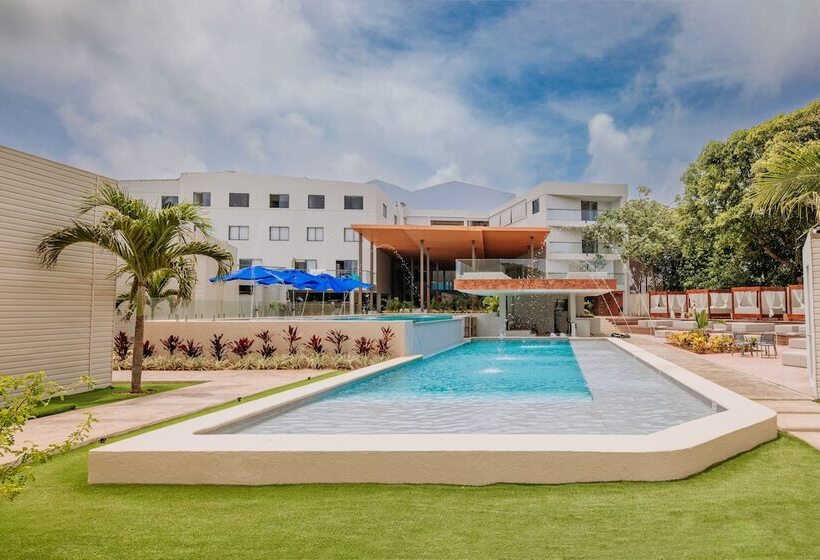 ユースホステル Dreamer Beach Club