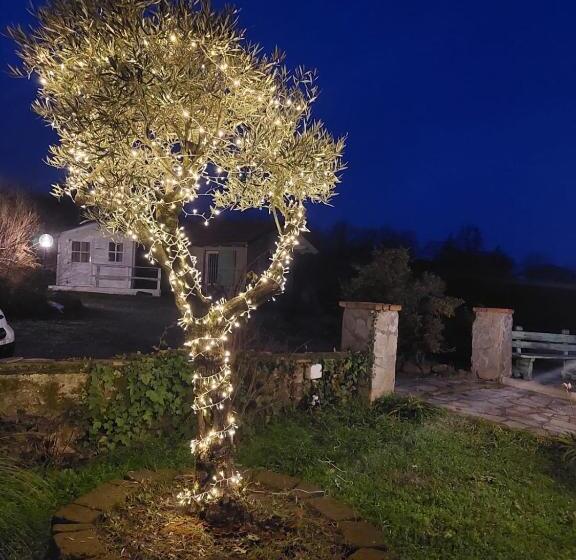 Bed and Breakfast La Bedolla 41 Tortona