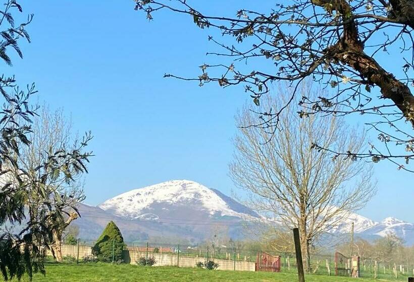 민박 Maison Amoraina