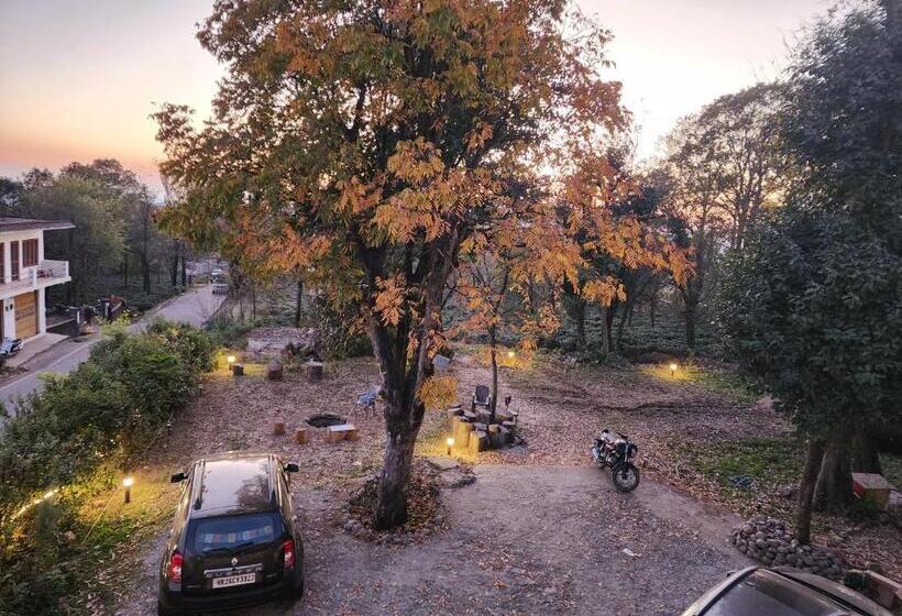 مبيت وإفطار The Birdhouse Villa