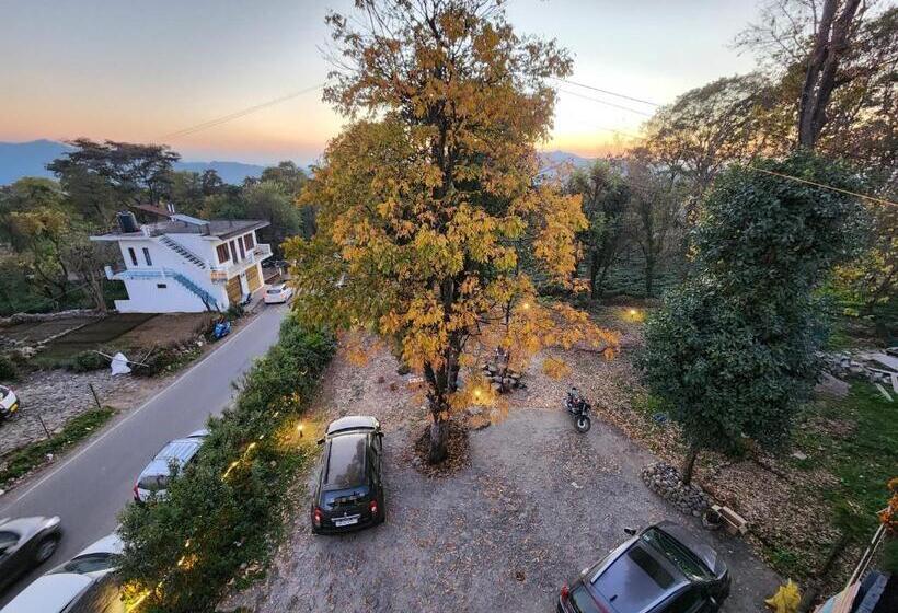 مبيت وإفطار The Birdhouse Villa