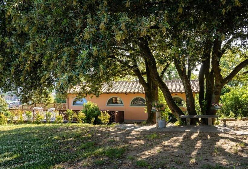ホテル Agriturismo Bellandi