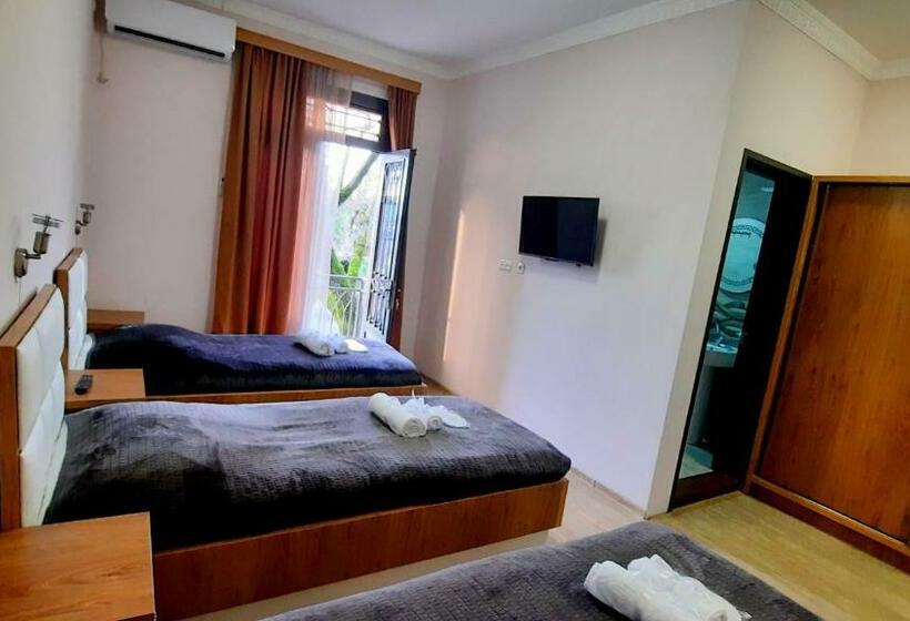 בית מלון כפרי Koshki