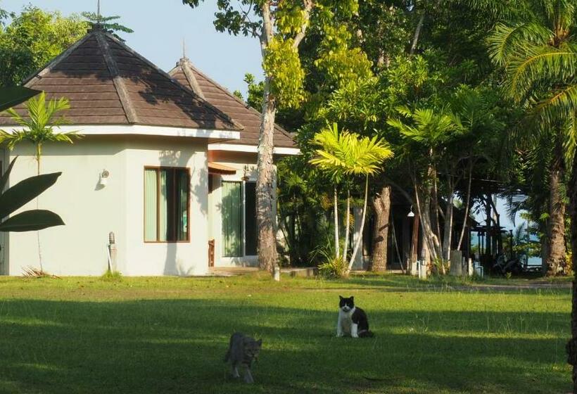 膳宿费 Avare House Krabi