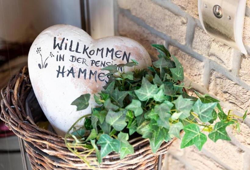 Pension Am Hardausee