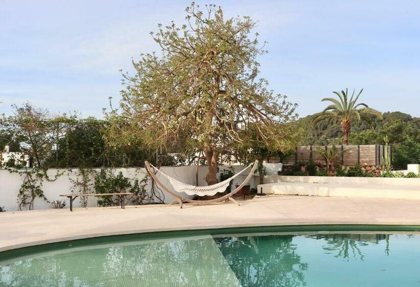 فندق صغير La Pandilla Ibiza