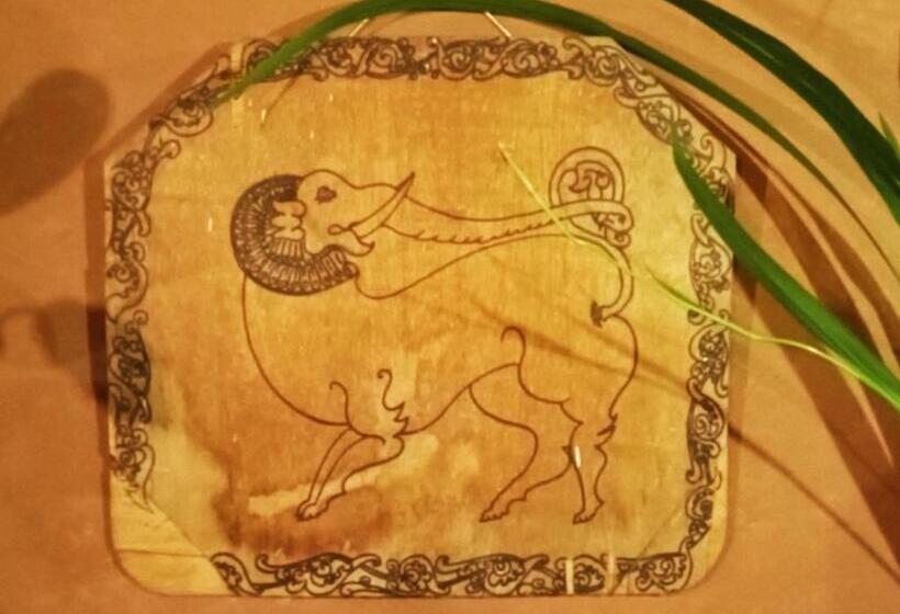 Общежитие La Pinchi  Pinchi S Bed