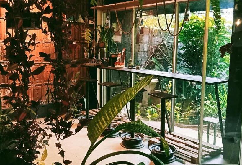 Общежитие La Pinchi  Pinchi S Bed