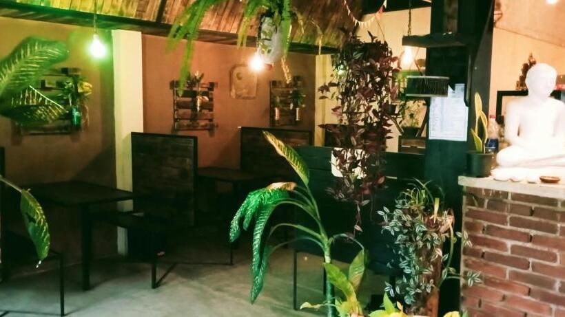 Общежитие La Pinchi  Pinchi S Bed