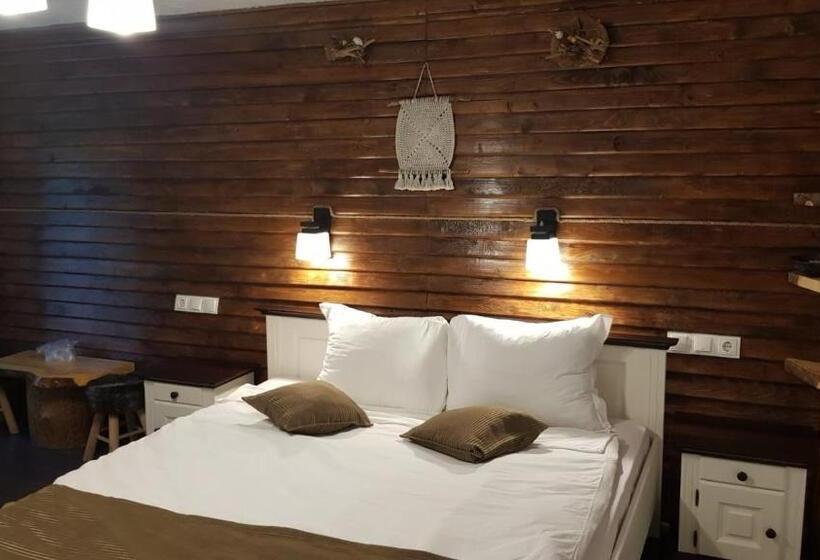 Отель Complexul Sura Brazilor