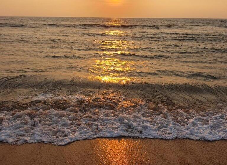 Отель Nature Paradise Guesthouse