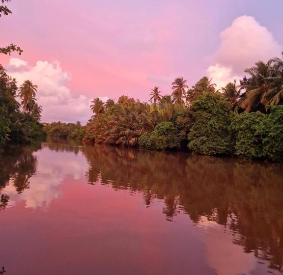 Отель Nature Paradise Guesthouse