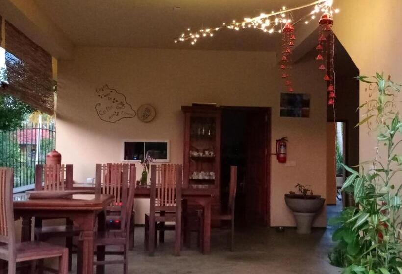 Отель Nature Paradise Guesthouse