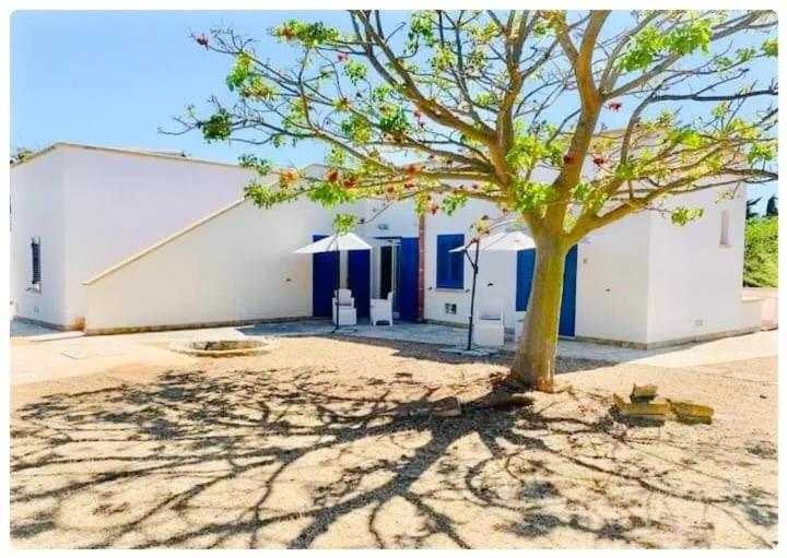 膳宿费 Canova Holidays Rooms  Affittacamere