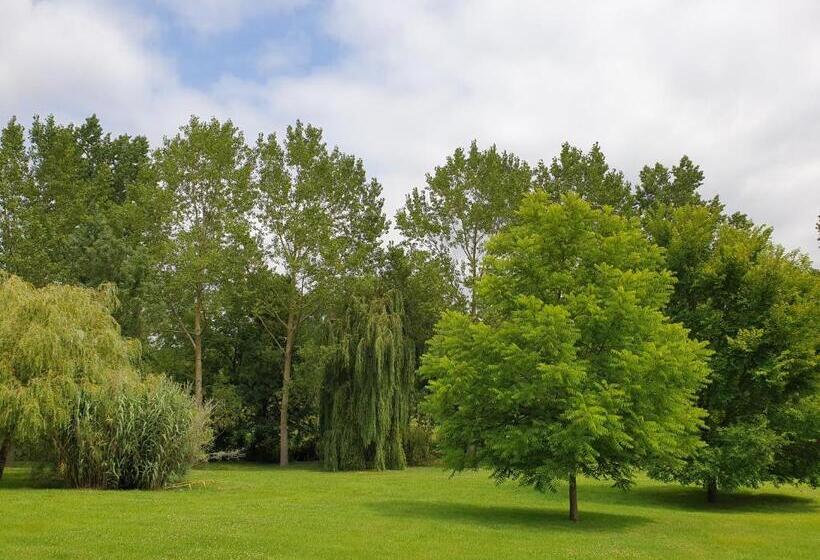 بنسيون Les écuries