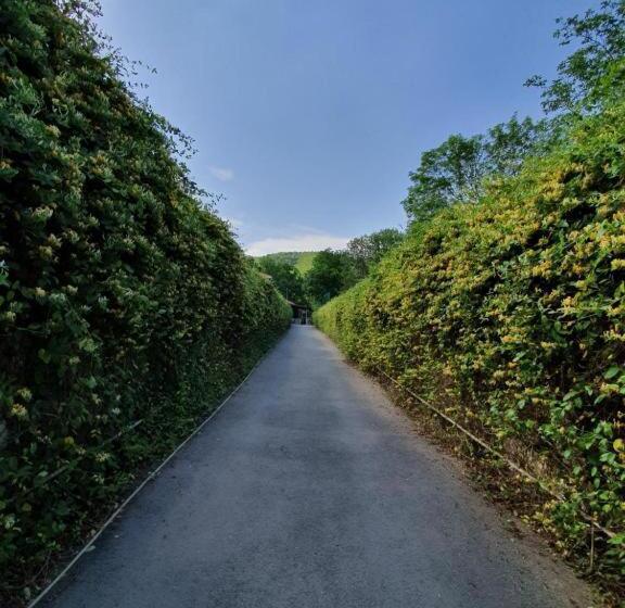 Zangazur Hotel & Cottages