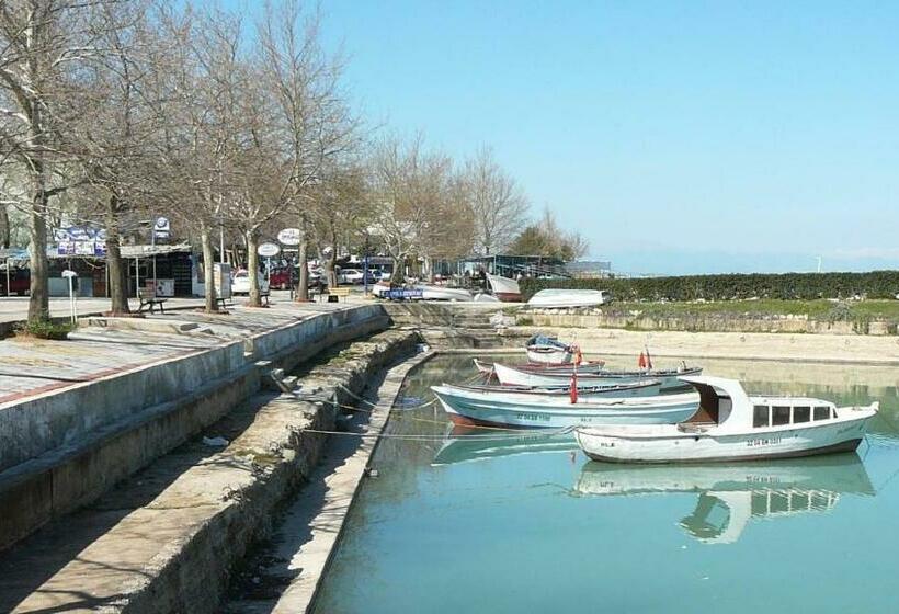 צימר Ali S Pension