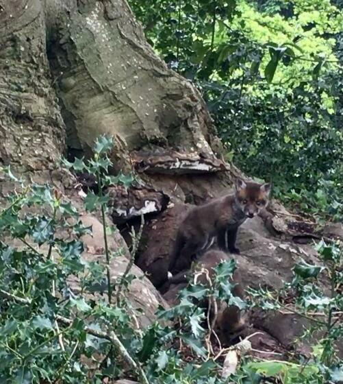 민박 Anelys  Château Du Bocage