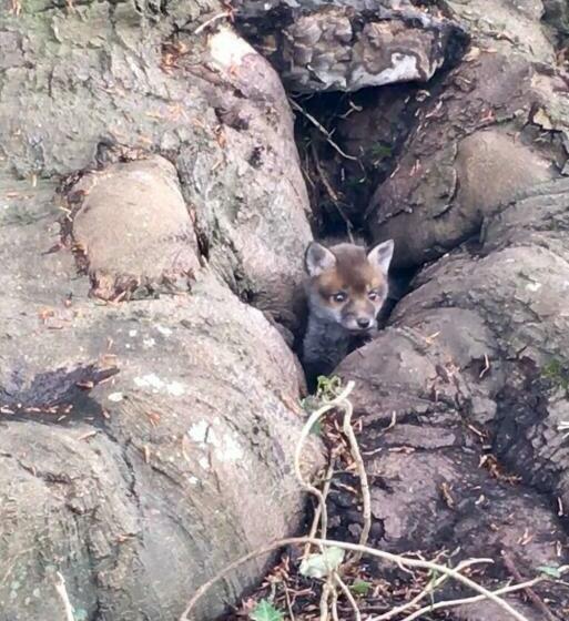민박 Anelys  Château Du Bocage