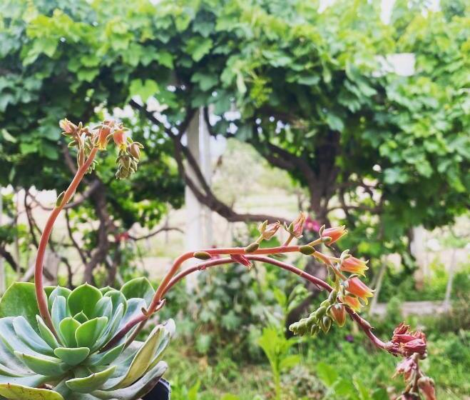 민박 El Convento De Tilcara