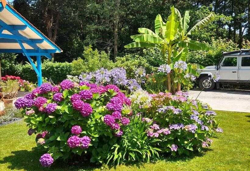 צימר La Clairière Du Seignanx