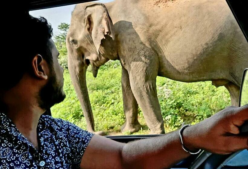 مبيت وإفطار Shaggy S Nature Lodge