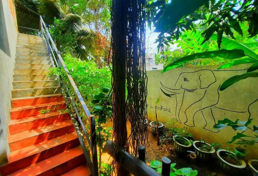 مبيت وإفطار Shaggy S Nature Lodge