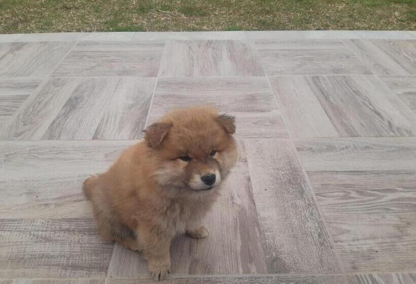 צימר Villa Gloria