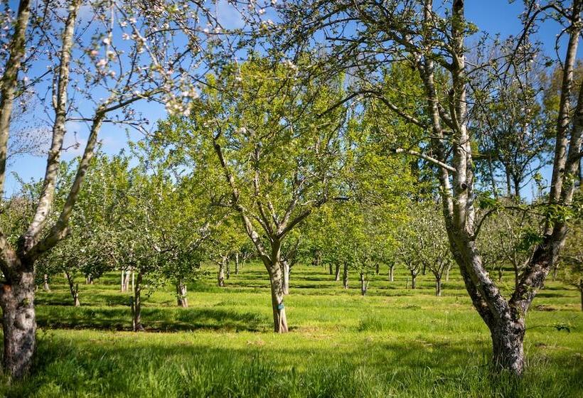 فندق Dragon Orchard Retreat