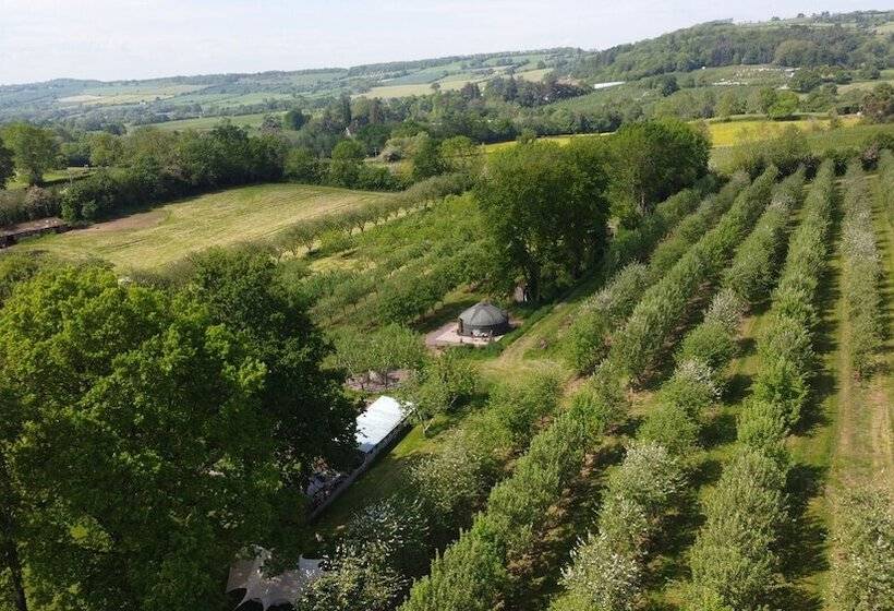 فندق Dragon Orchard Retreat