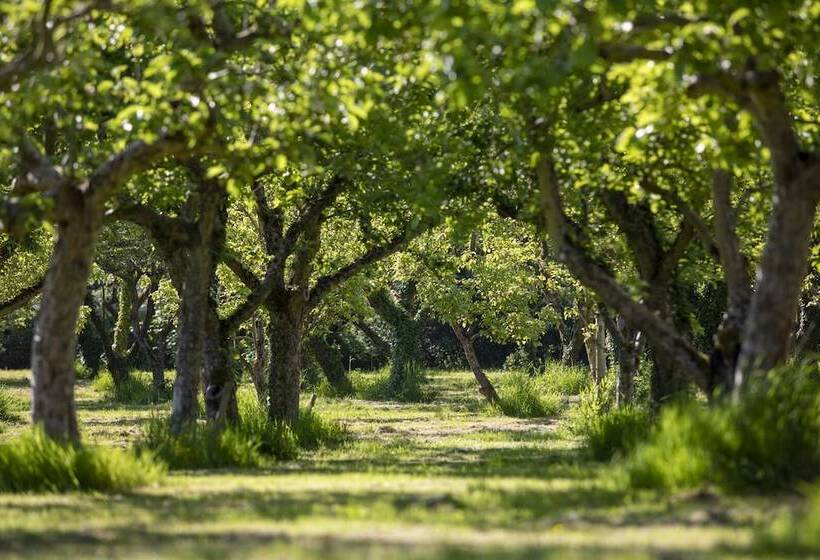 فندق Dragon Orchard Retreat