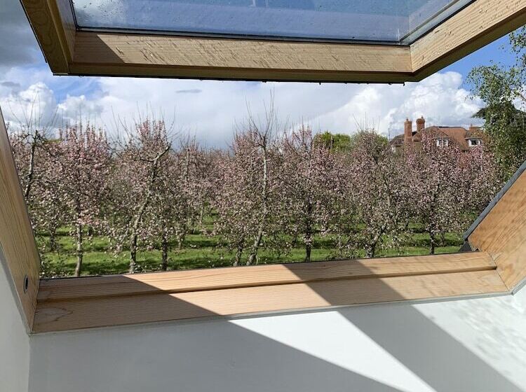 فندق Dragon Orchard Retreat