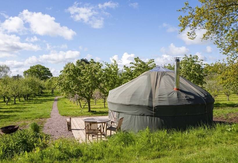 فندق Dragon Orchard Retreat