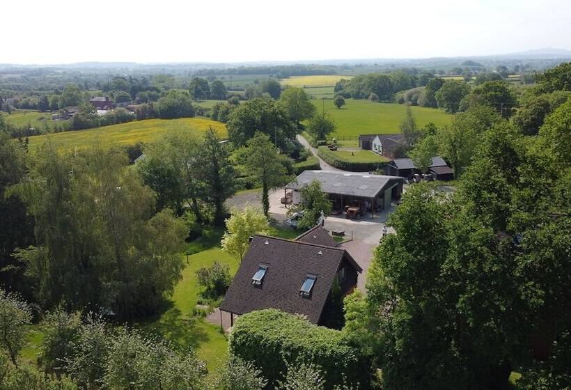 فندق Dragon Orchard Retreat