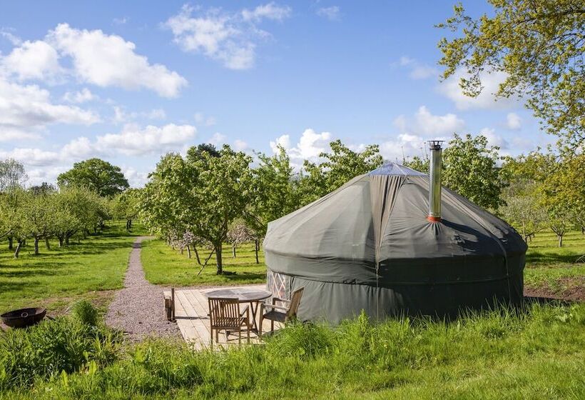 فندق Dragon Orchard Retreat