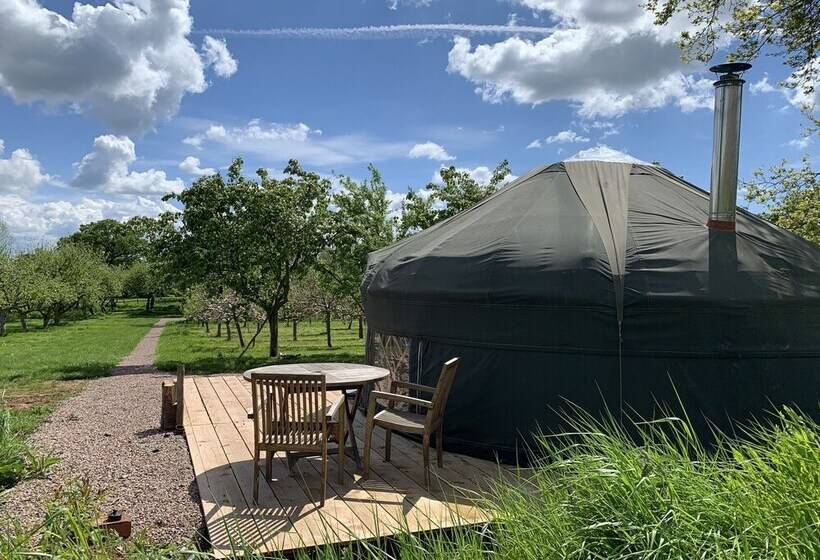 فندق Dragon Orchard Retreat