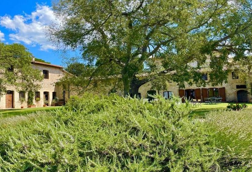 هتل Exclusive Pool Open All Year Spoleto Biofarm Slps 8 Village Shops, Bar1 Km