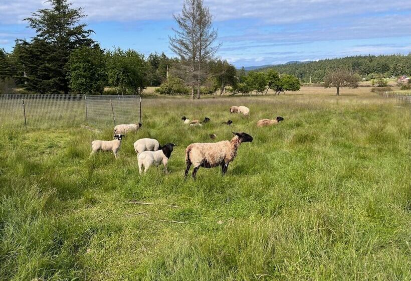 فندق Lopez Farm Cottages & Tent Camping