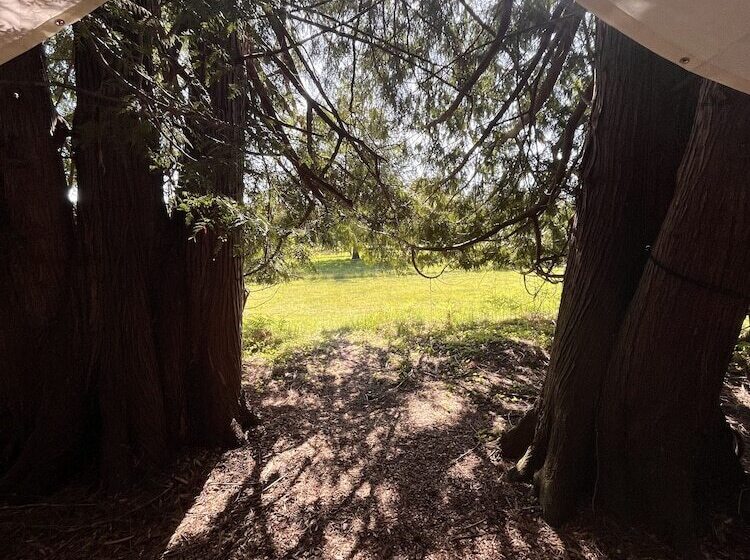 فندق Lopez Farm Cottages & Tent Camping