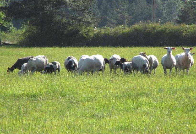 فندق Lopez Farm Cottages & Tent Camping