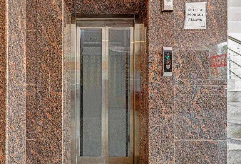 酒店 Treebo Silver Stallion