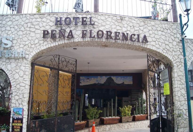 Отель Peña Florencia