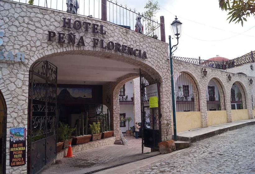 Отель Peña Florencia