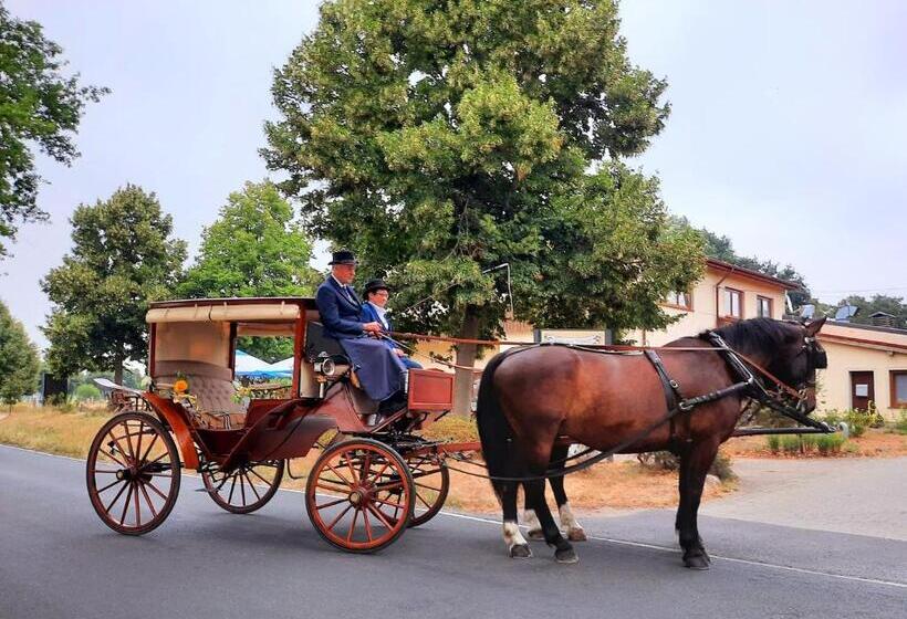ホテル Reiterhof Schmidt, Gaststätte & Pension