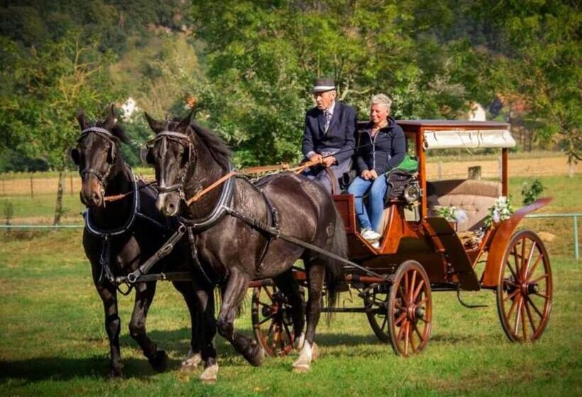 ホテル Reiterhof Schmidt, Gaststätte & Pension