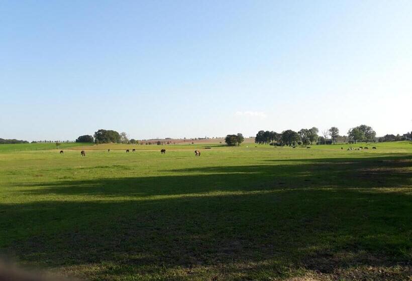 ホテル Reiterhof Schmidt, Gaststätte & Pension