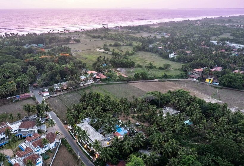 酒店 The Woodside Inn