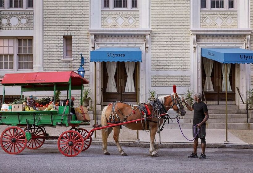 ホテル Ulysses, An Ash