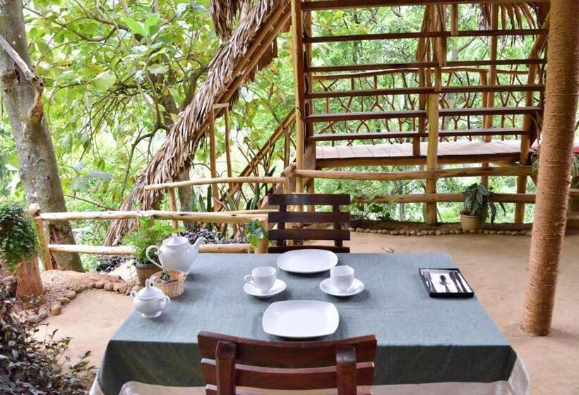 منتجع Eco Village